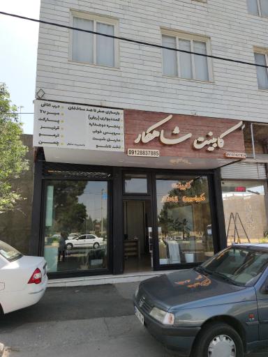 عکس دکوراسیون شاهکار