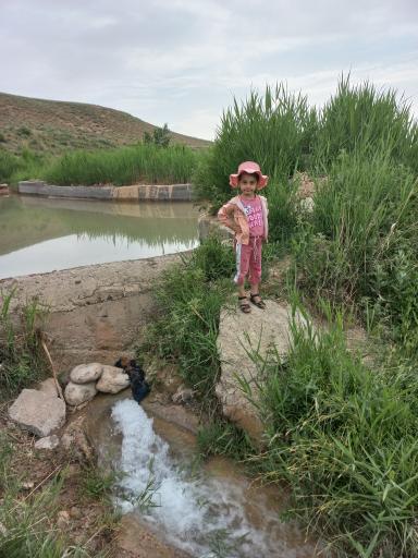 عکس زرین رود