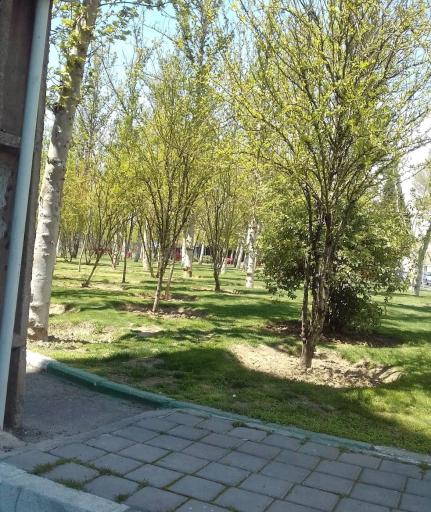 عکس بوستان شهید کاظمی