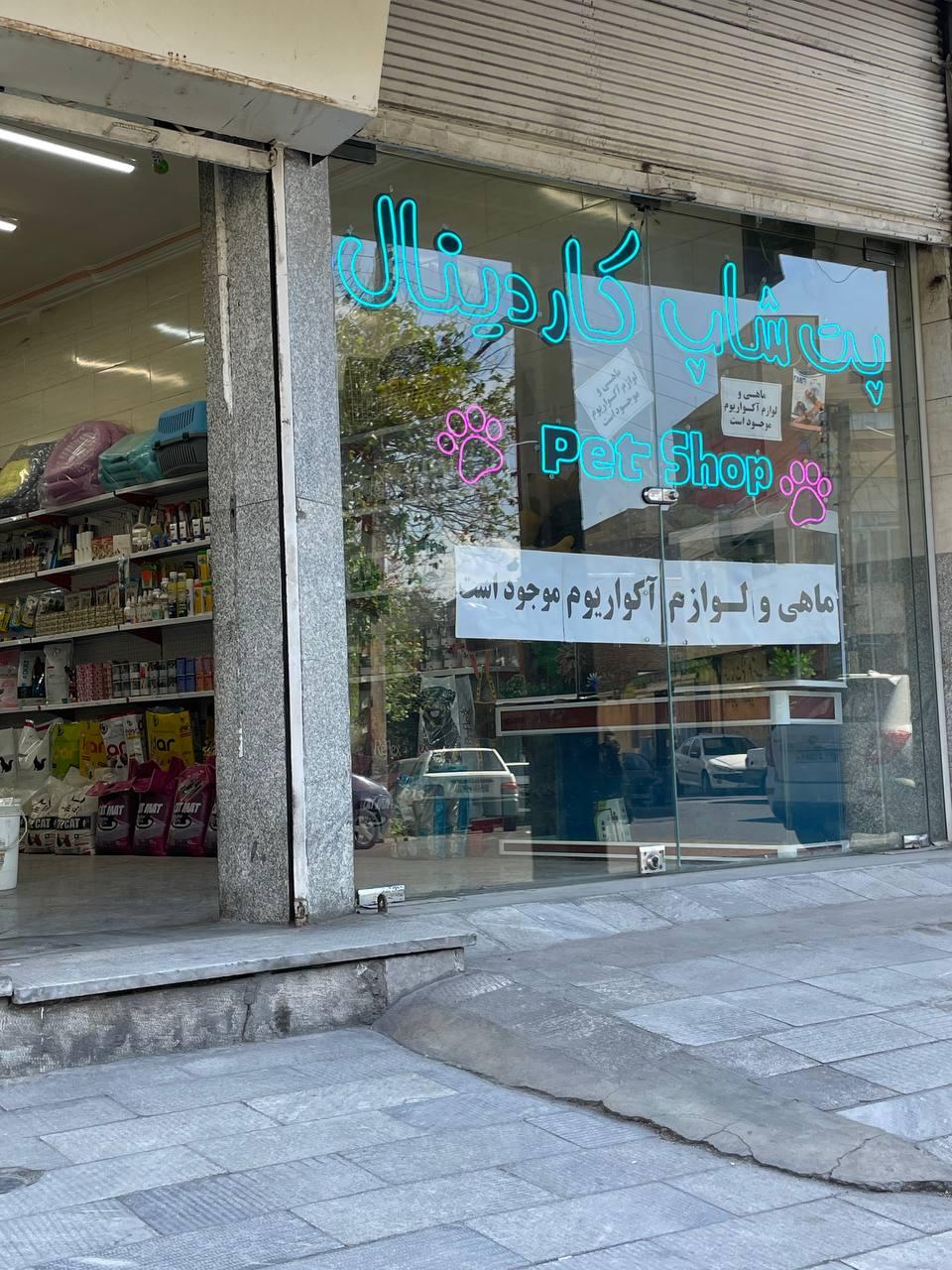 عکس پت شاپ کاردینال