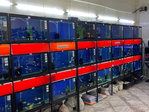 عکس پت شاپ کاردینال