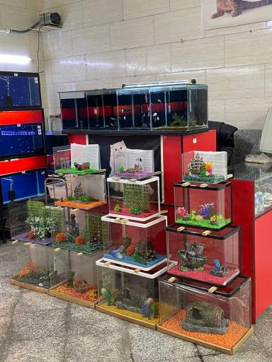 عکس پت شاپ کاردینال