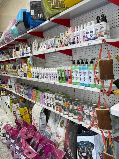 عکس پت شاپ کاردینال