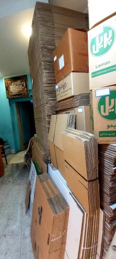 عکس کارتن ارزان مولوی