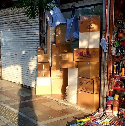 عکس کارتن ارزان مولوی