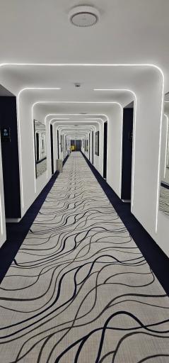 عکس هتل ارگ جدید بم