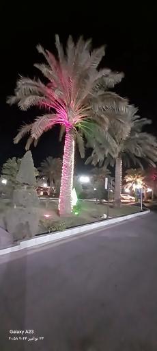 عکس هتل ارگ جدید بم