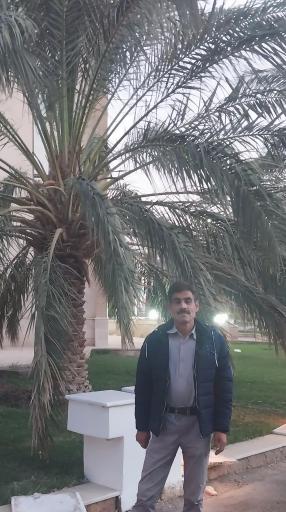 عکس هتل ارگ جدید بم