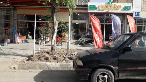 عکس داروخانه گیاه پزشکی