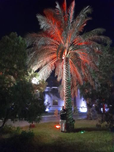 عکس هتل ارگ جدید بم
