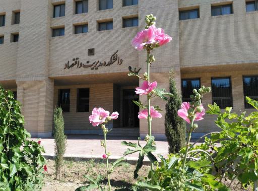 عکس دانشکده اقتصاد، مدیریت و حسابداری