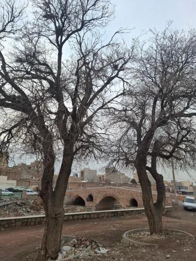 عکس پل تاریخی بیلانکوه