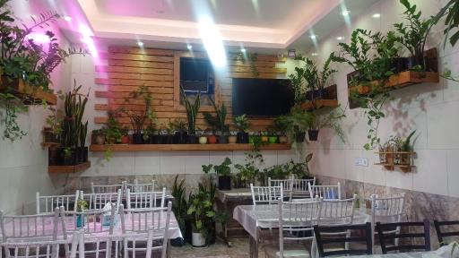 عکس غذای رضائیان