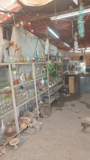 عکس فروش عمده ماهی قرمز خان ماهی