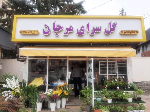 عکس گلفروشی