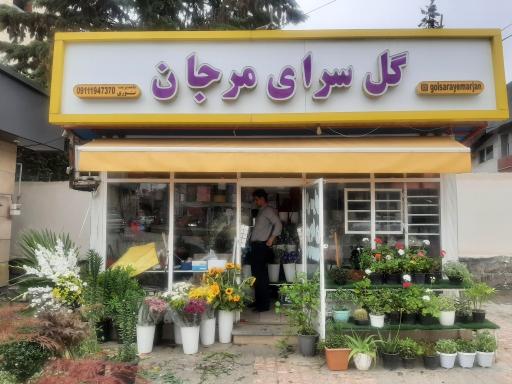 عکس گلفروشی