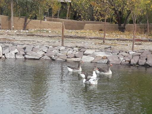 عکس مجموعه تفریحی اورس