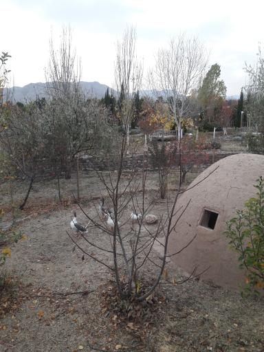 عکس مجموعه تفریحی اورس