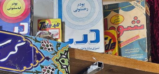 عکس دیزی بهار