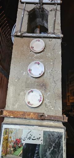 عکس دیزی بهار