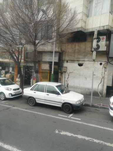 عکس دکتر الهه سادات طباطبایی جراح دندانپزشک