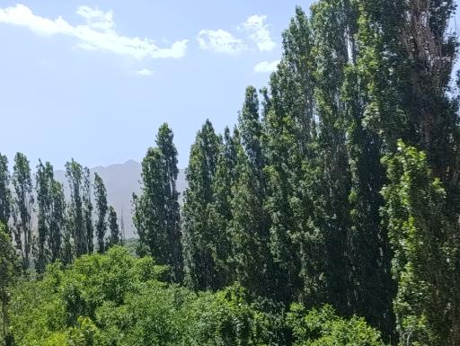 عکس رودخانه سد طالقان