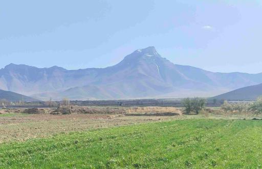 عکس اناج