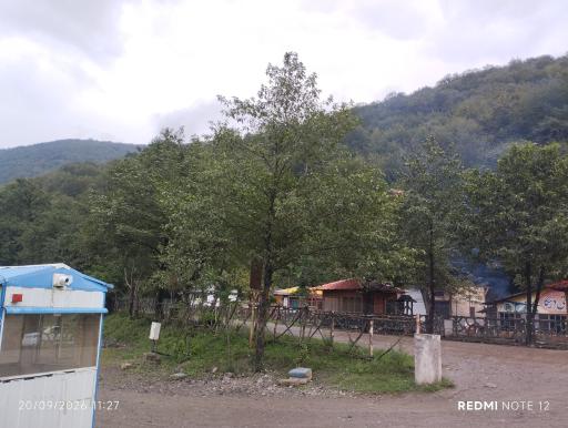 عکس پارک جنگلی درنیکا