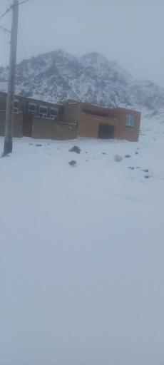 عکس مزرعه نو