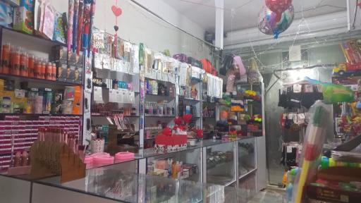 عکس گالری آریا