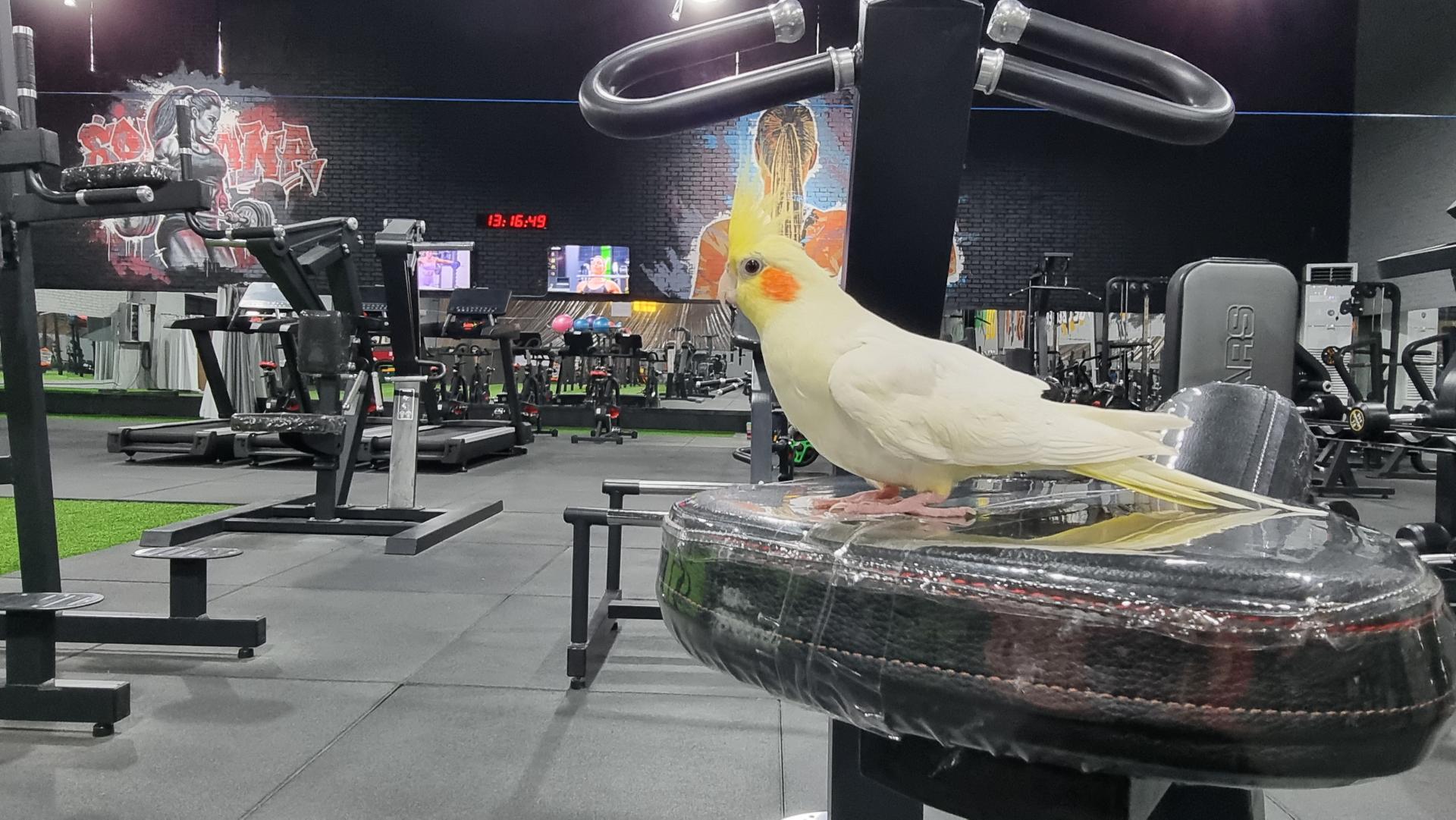 عکس باشگاه ورزشی بانوان اسپادانا