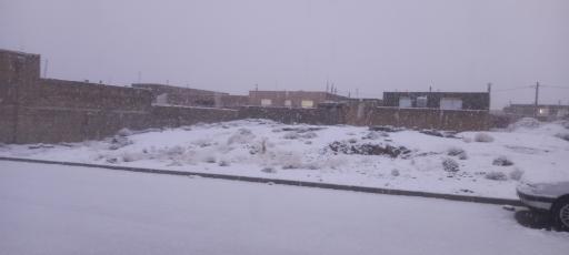 عکس مزرعه نو