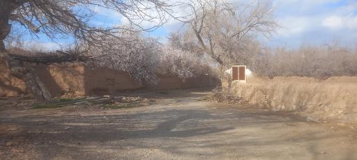 عکس مزرعه نو
