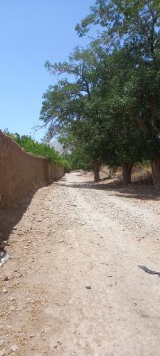 عکس مزرعه نو