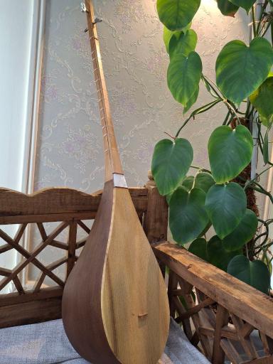 عکس آموزشگاه موسیقی هنگستان