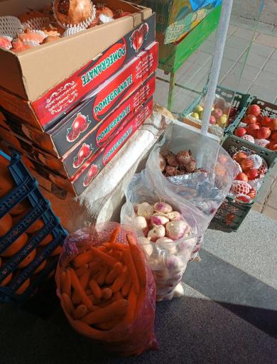 عکس میوه سرای محله