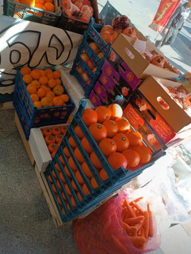 میوه سرای محله