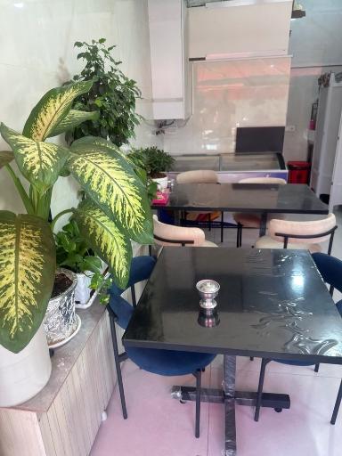 عکس صبحانه سرای شکمو