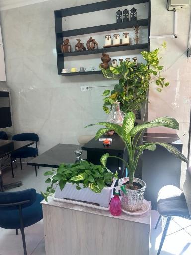 عکس صبحانه سرای شکمو