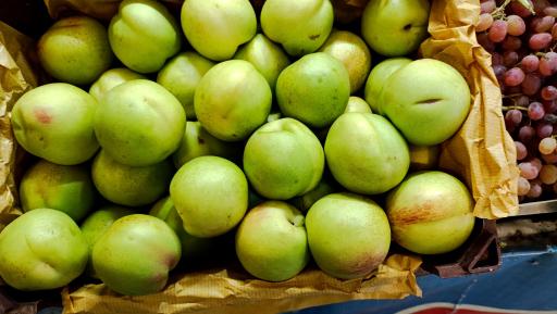 عکس میوه سرای محله