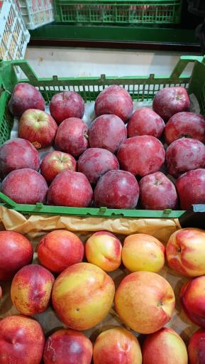 عکس میوه سرای محله