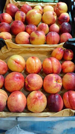 عکس میوه سرای محله