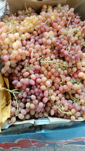عکس میوه سرای محله