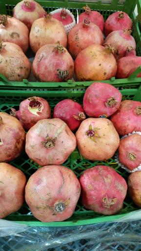 عکس میوه سرای محله