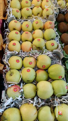 عکس میوه سرای محله