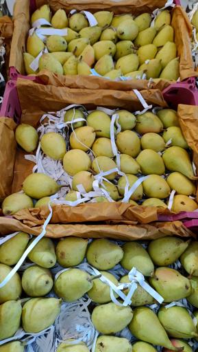عکس میوه سرای محله