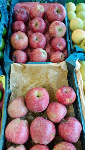عکس میوه سرای محله