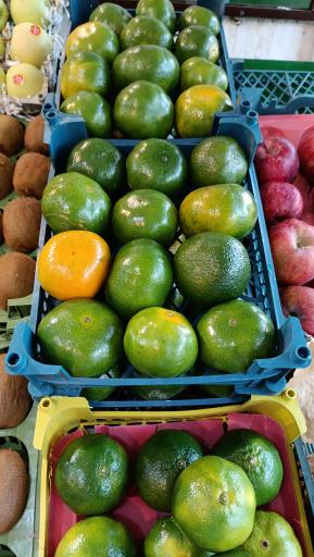 عکس میوه سرای محله