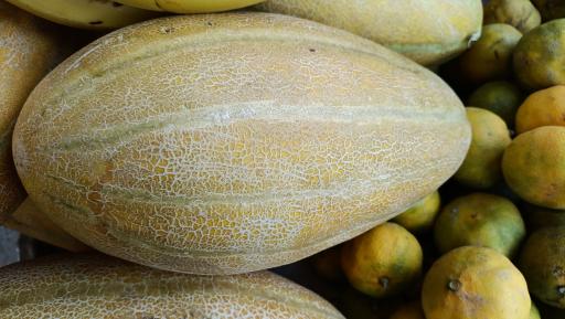 عکس میوه سرای محله