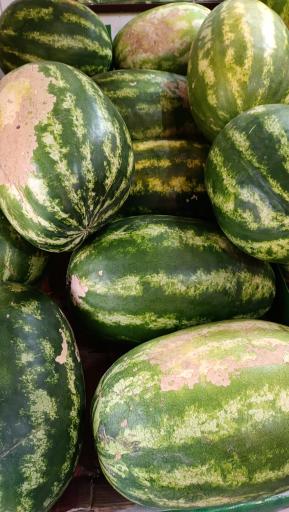 عکس میوه سرای محله